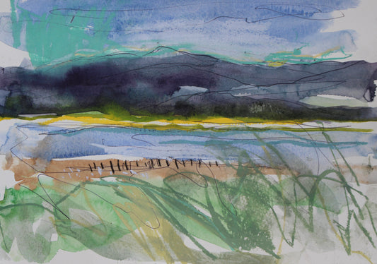 Dyfi Estuary Study (2024)