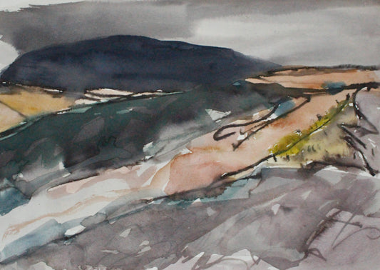 Gwynedd Landscape Study (2024)